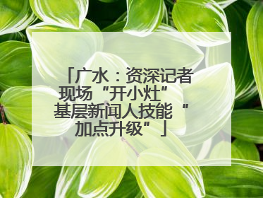 广水：资深记者现场“开小灶” 基层新闻人技能“加点升级”