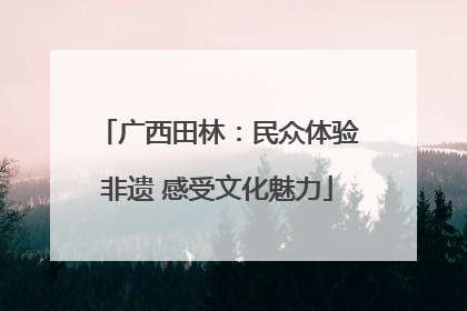 广西田林：民众体验非遗 感受文化魅力