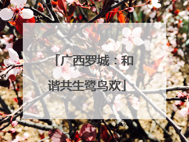 广西罗城：和谐共生鹭鸟欢