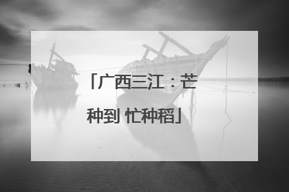广西三江：芒种到 忙种稻