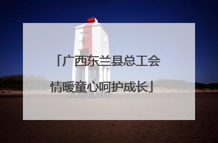 广西东兰县总工会情暖童心呵护成长