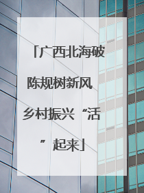 广西北海破陈规树新风 乡村振兴“活”起来