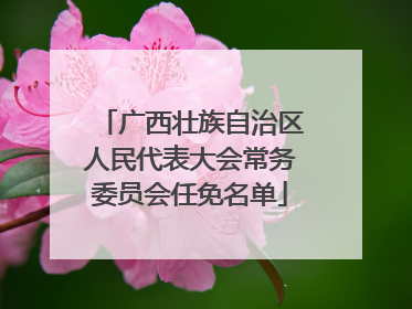 广西壮族自治区人民代表大会常务委员会任免名单