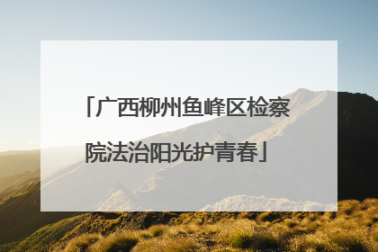 广西柳州鱼峰区检察院法治阳光护青春