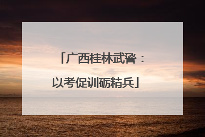 广西桂林武警：以考促训砺精兵