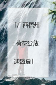 广西梧州：荷花绽放迎盛夏