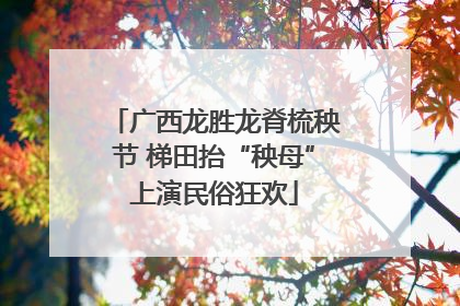广西龙胜龙脊梳秧节 梯田抬“秧母”上演民俗狂欢