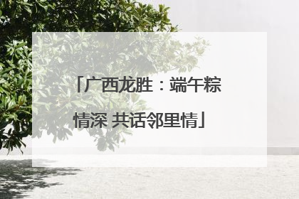 广西龙胜：端午粽情深 共话邻里情