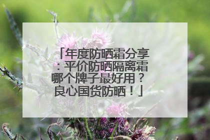 年度防晒霜分享：平价防晒隔离霜哪个牌子最好用？良心国货防晒！