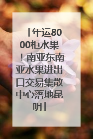 年运8000柜水果！南亚东南亚水果进出口交易集散中心落地昆明