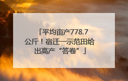 平均亩产778.7公斤！宿迁一示范田给出高产“答卷”