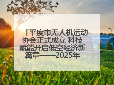 平度市无人机运动协会正式成立 科技赋能开启低空经济新篇章——2025年首届会员大会暨无人机应用发展论坛成功举办