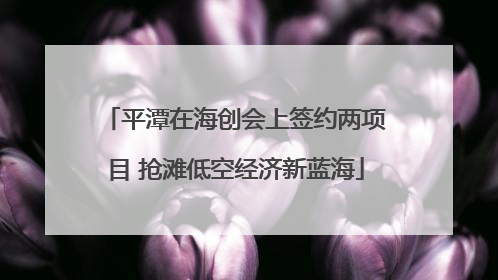 平潭在海创会上签约两项目 抢滩低空经济新蓝海