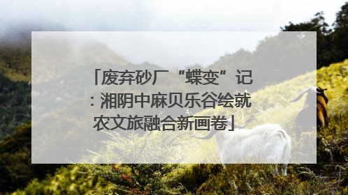 废弃砂厂“蝶变”记：湘阴中麻贝乐谷绘就农文旅融合新画卷