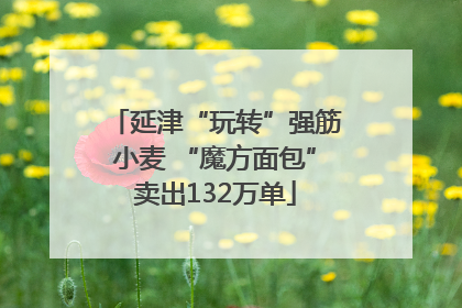 延津“玩转”强筋小麦 “魔方面包”卖出132万单