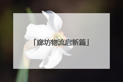 廊坊物流启新篇