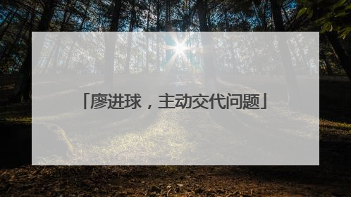 廖进球，主动交代问题