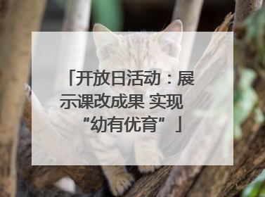 开放日活动：展示课改成果 实现“幼有优育”