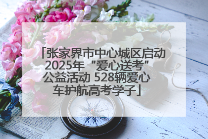 张家界市中心城区启动2025年“爱心送考”公益活动 528辆爱心车护航高考学子