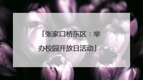 张家口桥东区：举办校园开放日活动