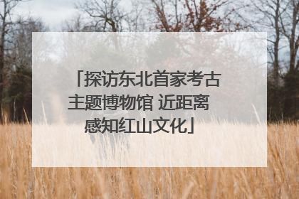 探访东北首家考古主题博物馆 近距离感知红山文化