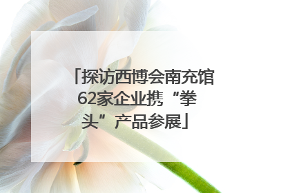 探访西博会南充馆 62家企业携“拳头”产品参展