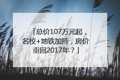 总价107万元起，名校+地铁加持，房价重回2017年？
