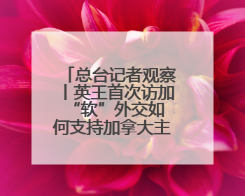 总台记者观察丨英王首次访加 “软”外交如何支持加拿大主权？