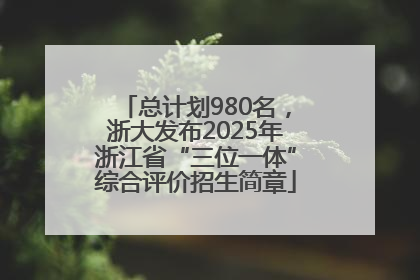 总计划980名，浙大发布2025年浙江省“三位一体”综合评价招生简章