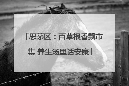 思茅区：百草根香飘市集 养生汤里话安康