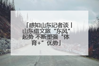感知山东记者谈丨山东借文旅“东风”起势 不断塑强“体育+”优势