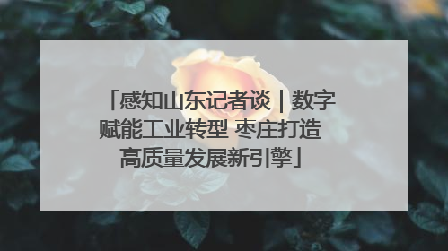 感知山东记者谈｜数字赋能工业转型 枣庄打造高质量发展新引擎