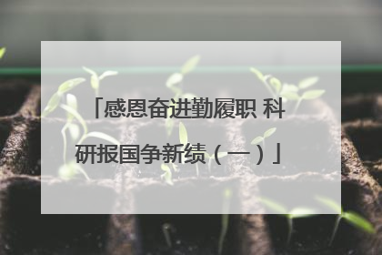 感恩奋进勤履职 科研报国争新绩（一）