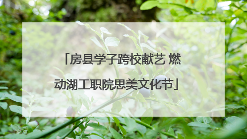 房县学子跨校献艺 燃动湖工职院思美文化节