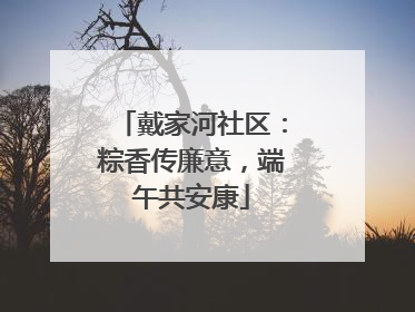 戴家河社区：粽香传廉意，端午共安康