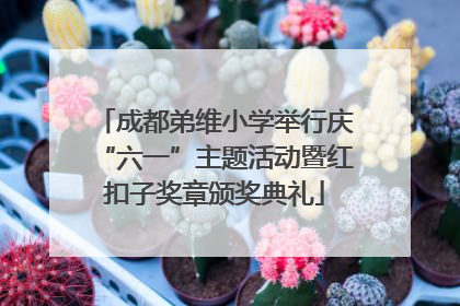 成都弟维小学举行庆“六一”主题活动暨红扣子奖章颁奖典礼