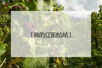 我的辽阳情结