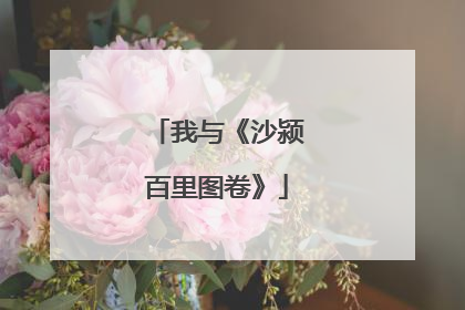 我与《沙颍百里图卷》