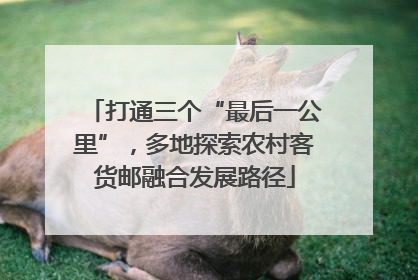 打通三个“最后一公里”，多地探索农村客货邮融合发展路径