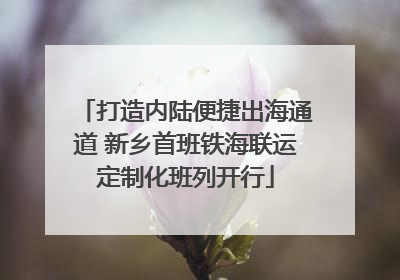 打造内陆便捷出海通道 新乡首班铁海联运定制化班列开行