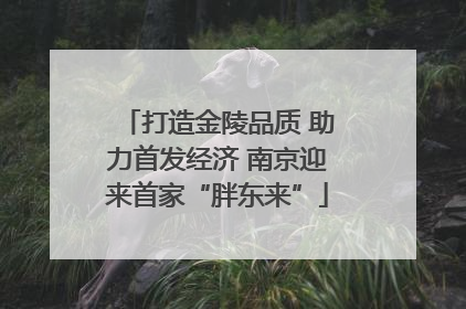 打造金陵品质 助力首发经济 南京迎来首家“胖东来”