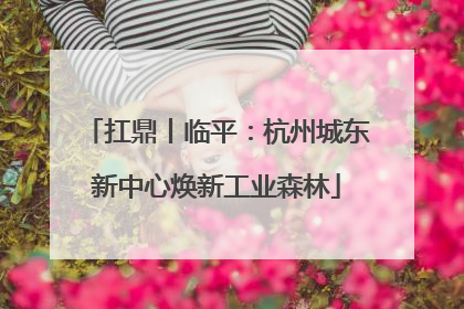 扛鼎丨临平：杭州城东新中心焕新工业森林