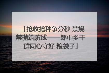 抢收抢种争分秒 禁烧禁抛筑防线——郎中乡干群同心守好 粮袋子