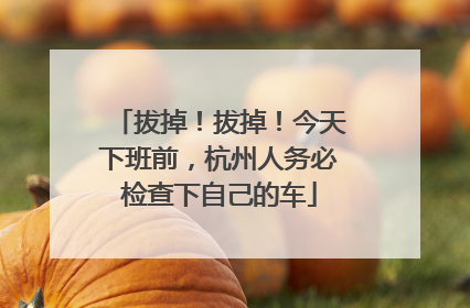 拔掉！拔掉！今天下班前，杭州人务必检查下自己的车