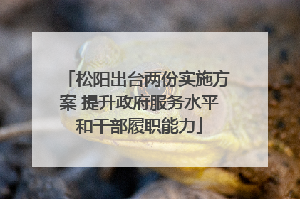 松阳出台两份实施方案 提升政府服务水平和干部履职能力