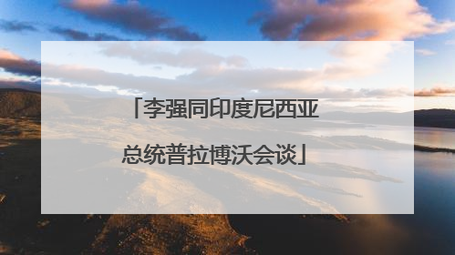 李强同印度尼西亚总统普拉博沃会谈