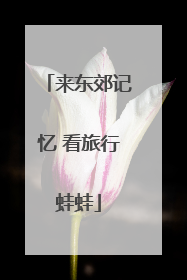 来东郊记忆 看旅行蛙蛙