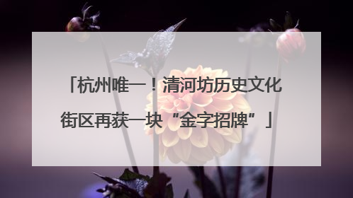 杭州唯一！清河坊历史文化街区再获一块“金字招牌”