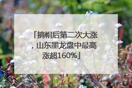 摘帽后第二次大涨，山东墨龙盘中最高涨超160%