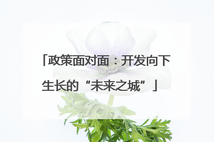 政策面对面：开发向下生长的“未来之城”